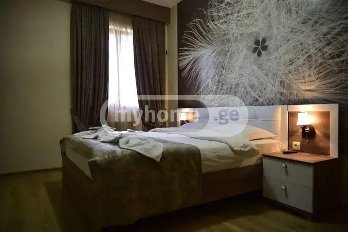 For Rent 10+ Room Sastumro Didubeshi, 4 of 6