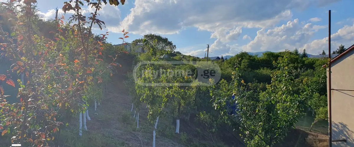 Продажа 7-комната Загородный дом в Sagarejoshi view 9