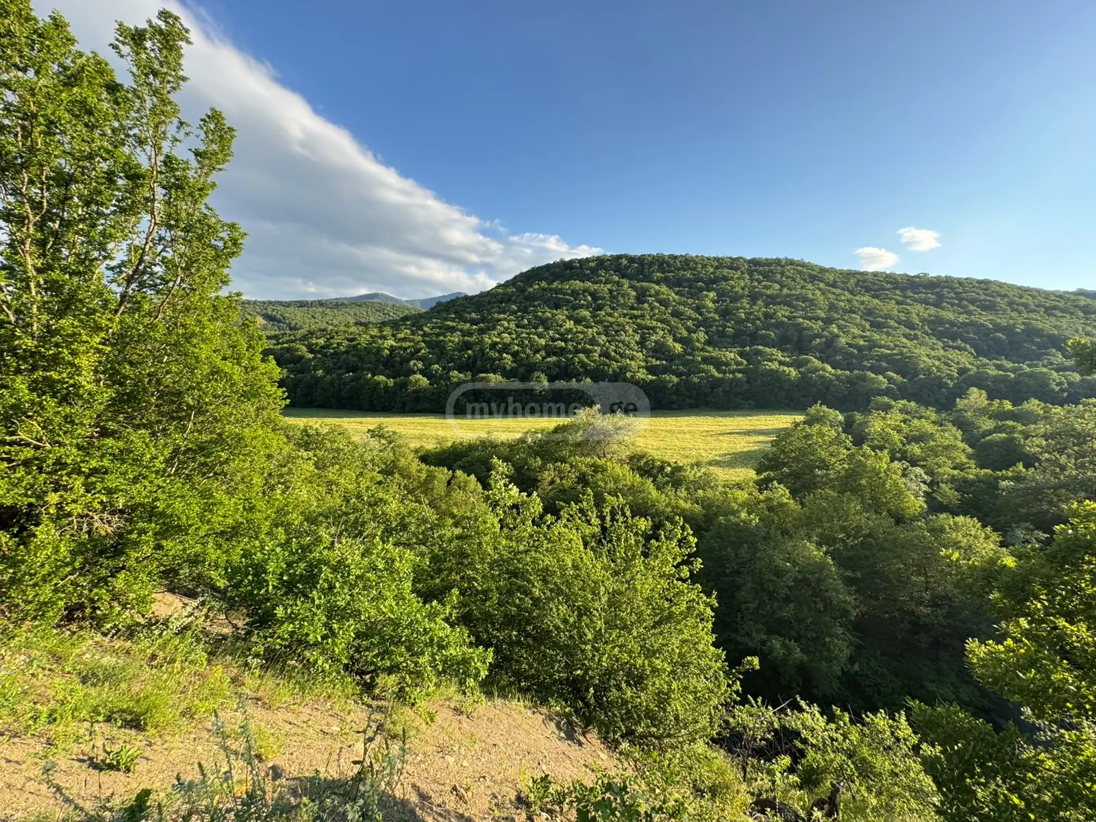 For Sale Sasoplo-Sameurneo Land Plot Tetritsqaros Raionshi view 5