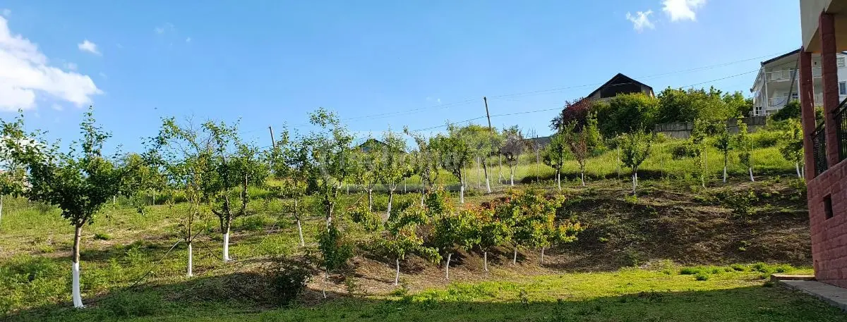 Продажа 7-комната Загородный дом в Sagarejos Munitsipalitetshi view 8