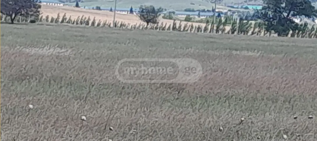 For Sale Sainvestitsio Land Plot Gardabnis Munitsipalitetshi view 6