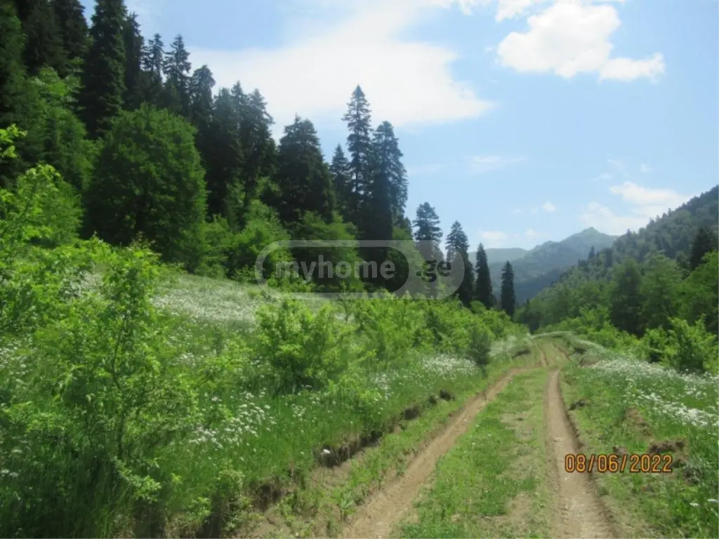 იყიდება მიწა / ნაკვეთი Borjomis Munitsipalitetshiში view 4