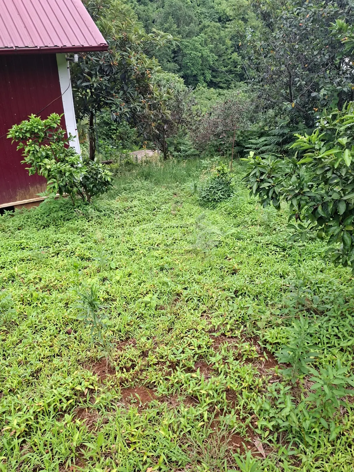 For Sale Sasoplo-Sameurneo Land Plot In Batumi view 8