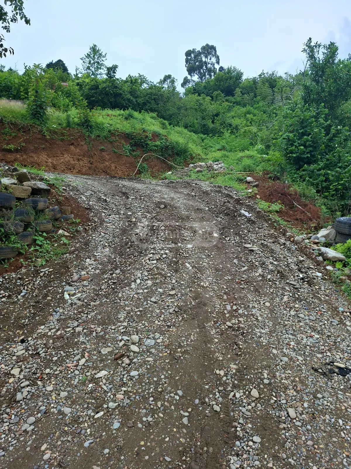 For Sale Sasoplo-Sameurneo Land Plot In Batumi view 6