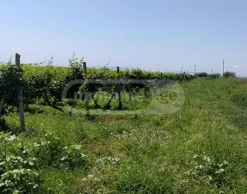 For Sale Sasoplo-Sameurneo Land Plot Isanshi, 3 of 12