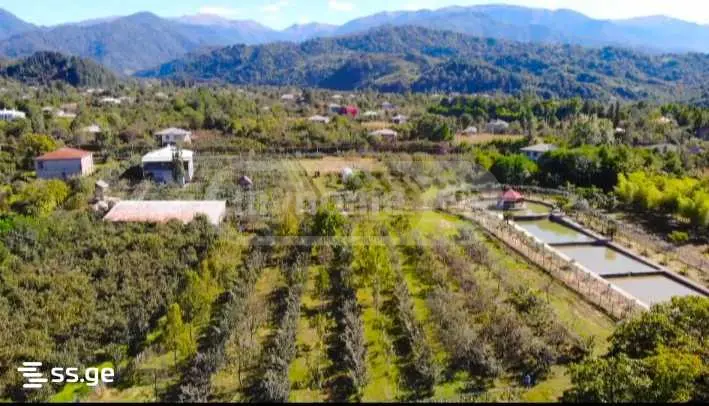 For Sale Sasoplo-Sameurneo Land Plot Ozurgetshii view 3