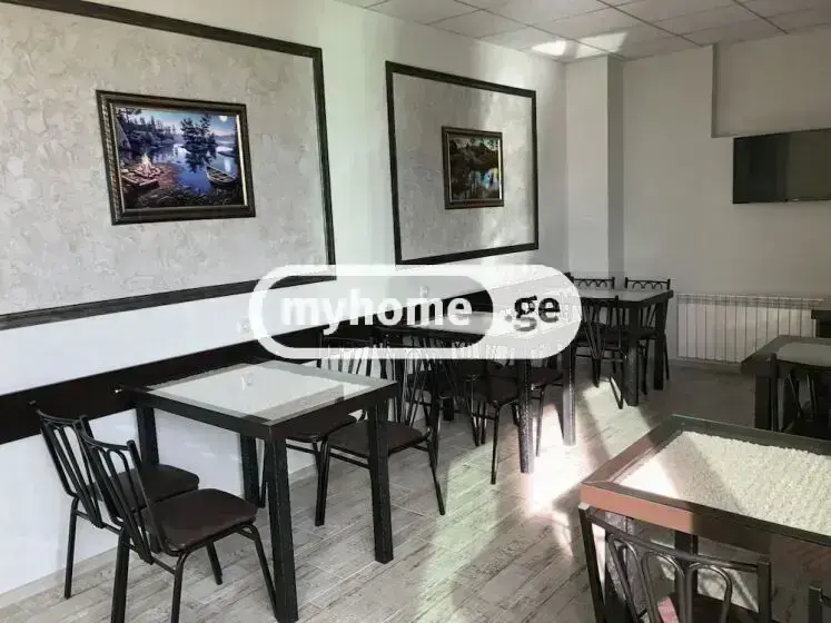 For Rent 9 Room Sastumro Nadzaladevshi, 12 of 12
