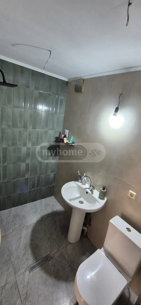 For Sale 10+ Room Private House Bakurianshi, 12 of 12