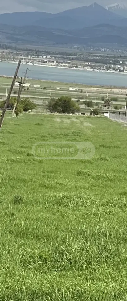 For Sale Sasoplo-Sameurneo Land Plot Dushetis Munitsipalitetshi view 2