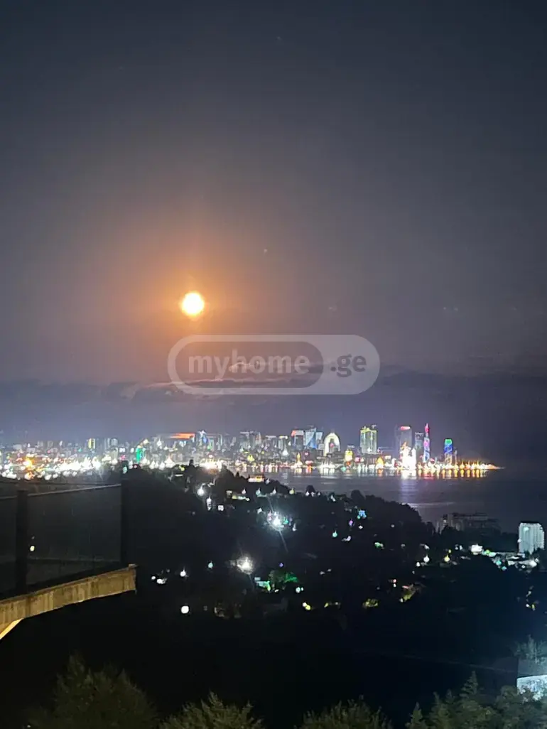 For Sale 10+ Room Private House In Batumi view 23