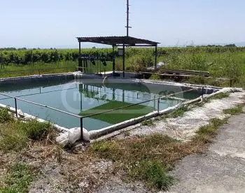 For Sale Sasoplo-Sameurneo Land Plot Isanshi, 8 of 11