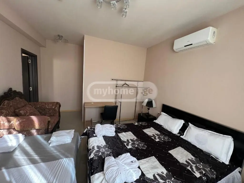 For Rent 10+ Room Sastumro Nadzaladevshi, 5 of 11