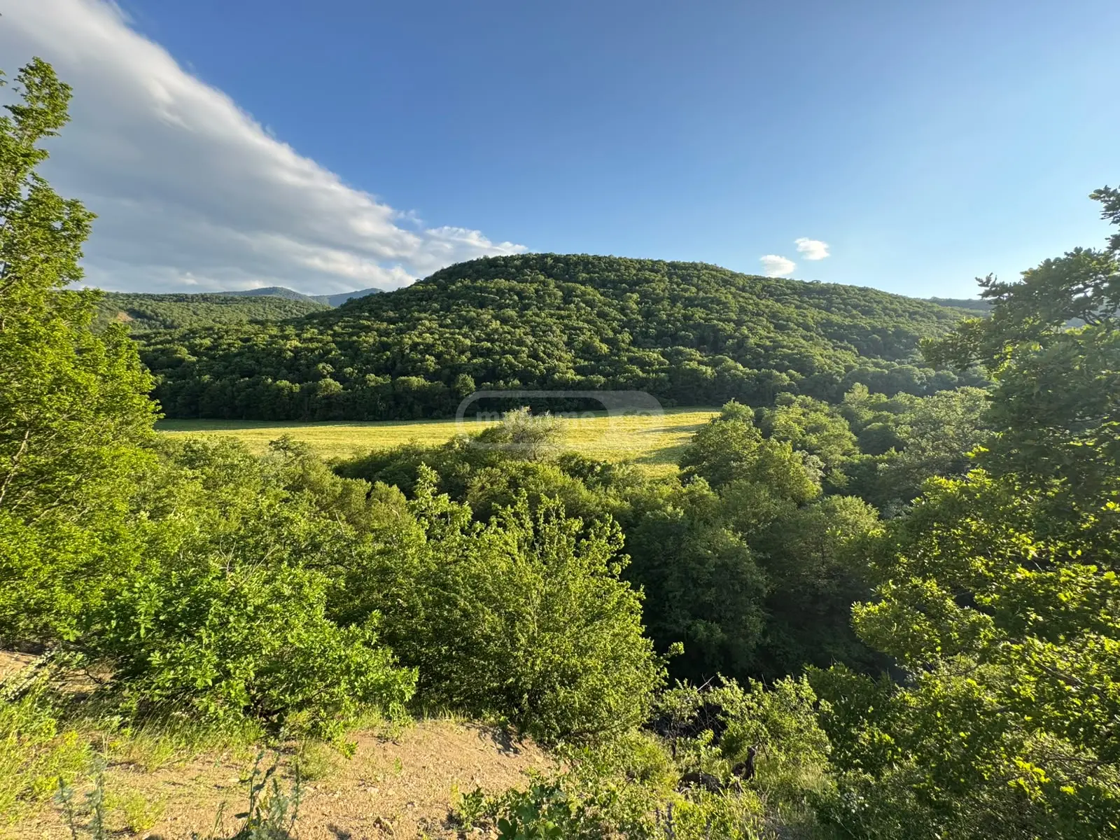For Sale Sasoplo-Sameurneo Land Plot Tetritsqaros Raionshi view 6