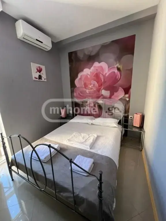For Rent 10+ Room Sastumro Nadzaladevshi, 4 of 11