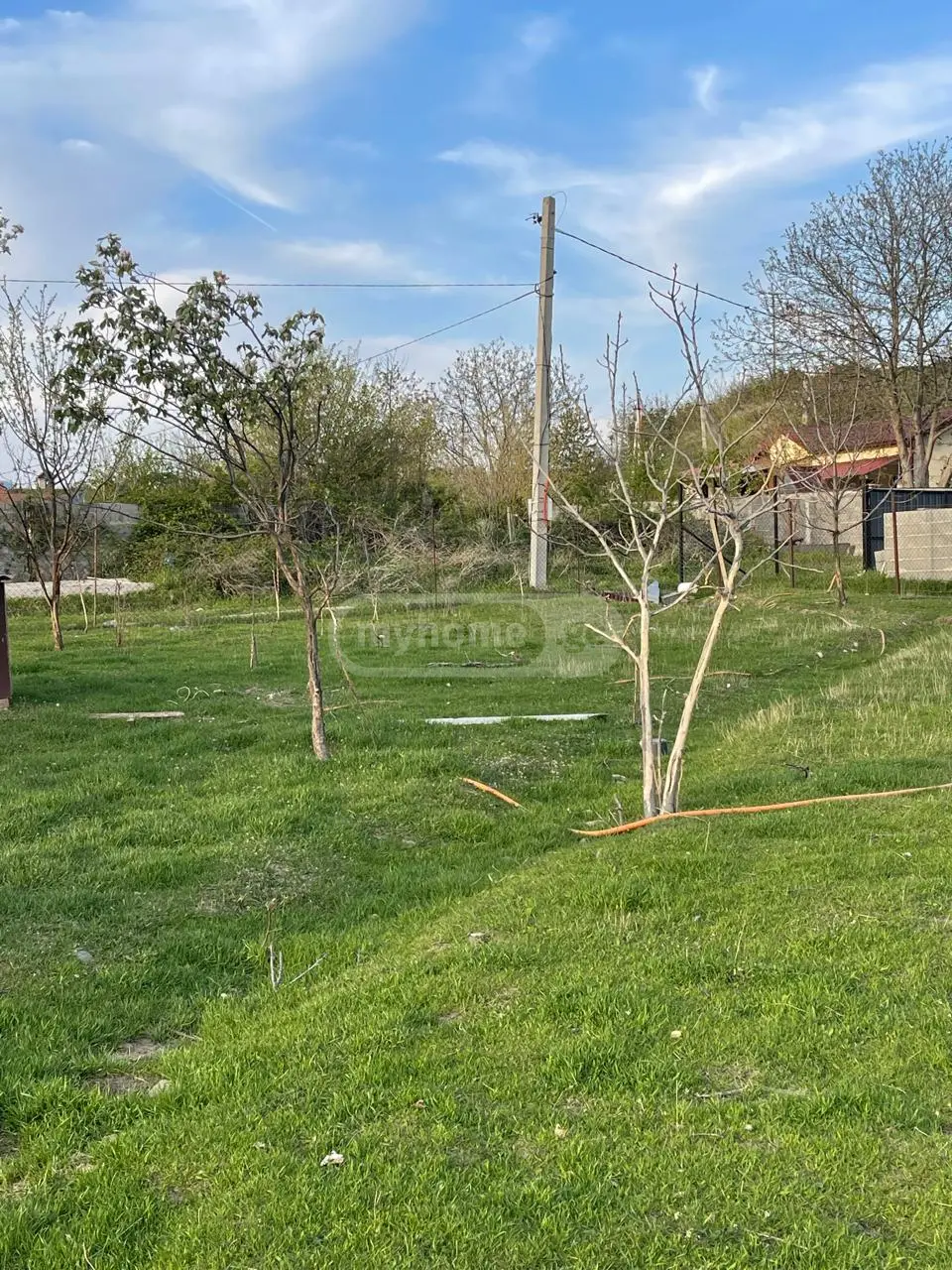 For Sale Sasoplo-Sameurneo Land Plot Mtskhetis Munitsipalitetshi view 4
