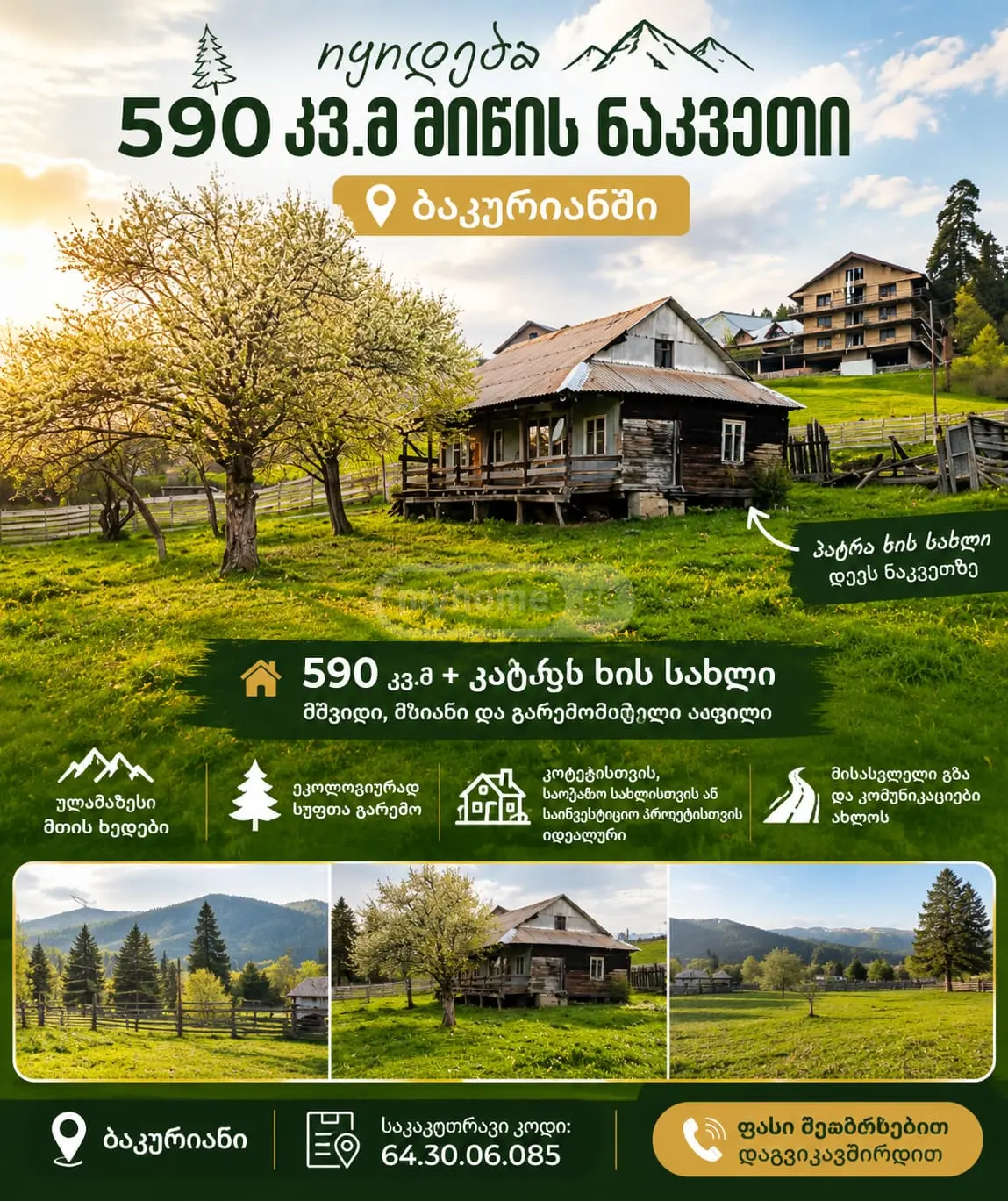 For Sale Sasoplo-Sameurneo Land Plot Bakurianshi, 1 of 1