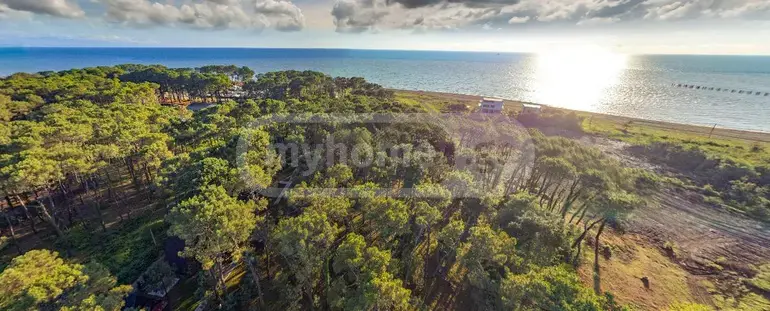 For Sale Sainvestitsio Land Plot Ozurgetis Munitsipalitetshi view 1