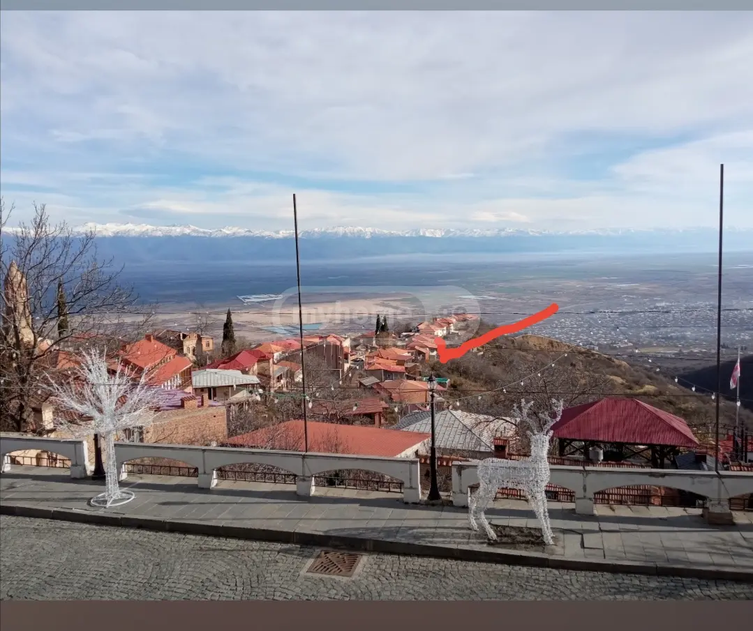 იყიდება მიწა / ნაკვეთი Sighnaghshiში view 3