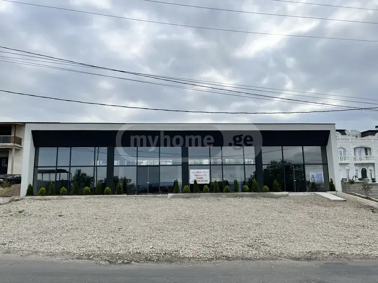 For Sale Universaluri Commercial Space Shindisshi view 2