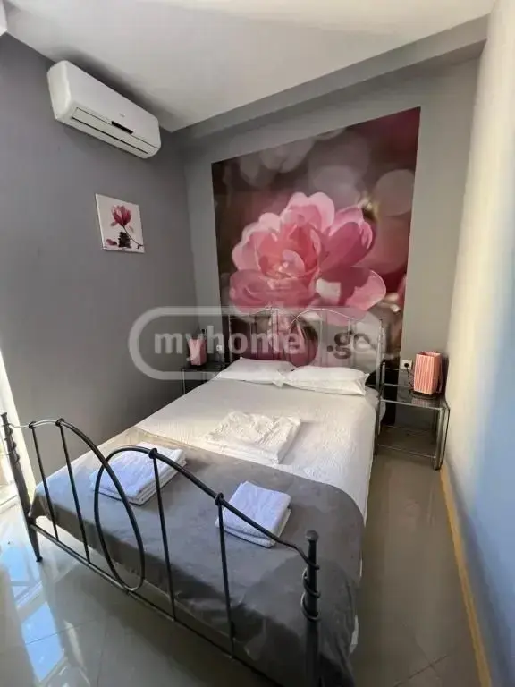 For Rent 10+ Room Sastumro Nadzaladevshi, 4 of 11