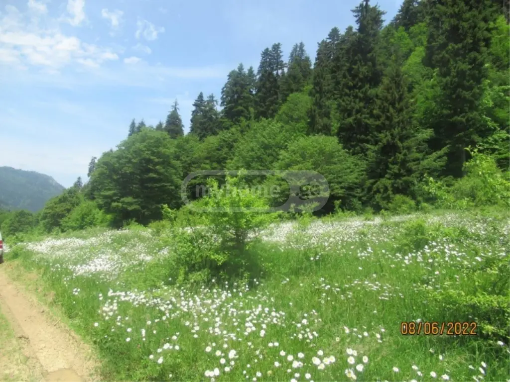 იყიდება მიწა / ნაკვეთი Borjomis Munitsipalitetshiში view 2