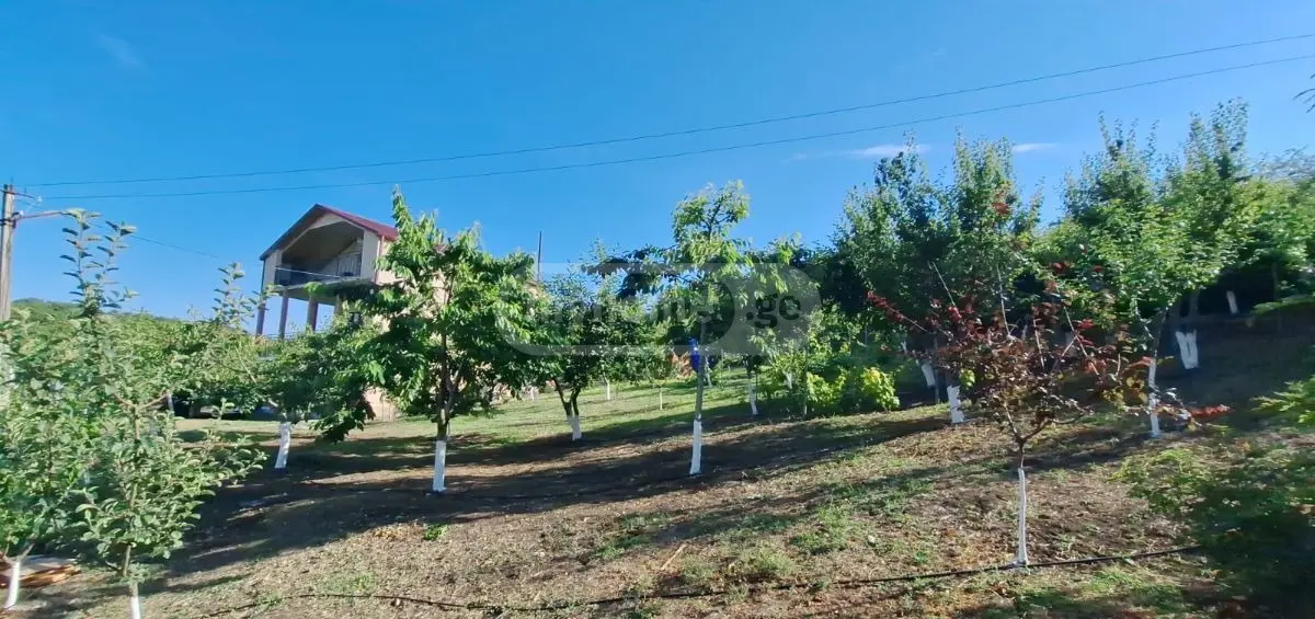 Продажа 7-комната Загородный дом в Sagarejos Munitsipalitetshi view 4