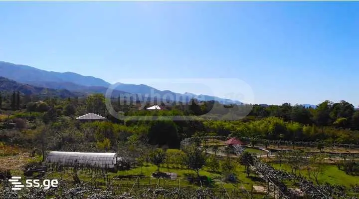 For Sale Sasoplo-Sameurneo Land Plot Ozurgetshii view 6