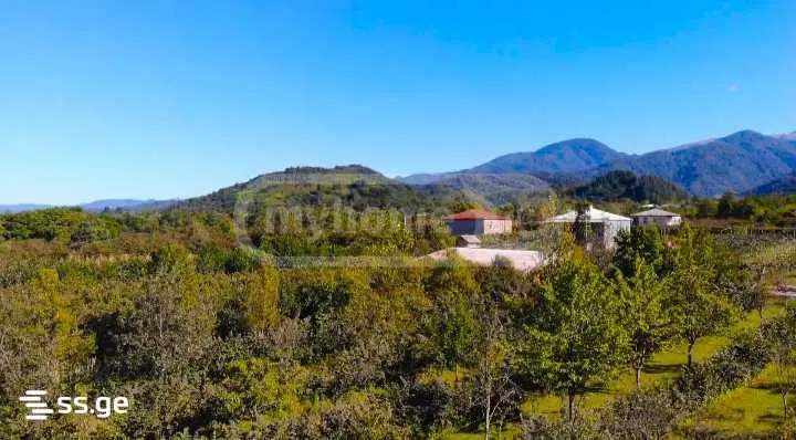 For Sale Sasoplo-Sameurneo Land Plot Ozurgetshii view 10