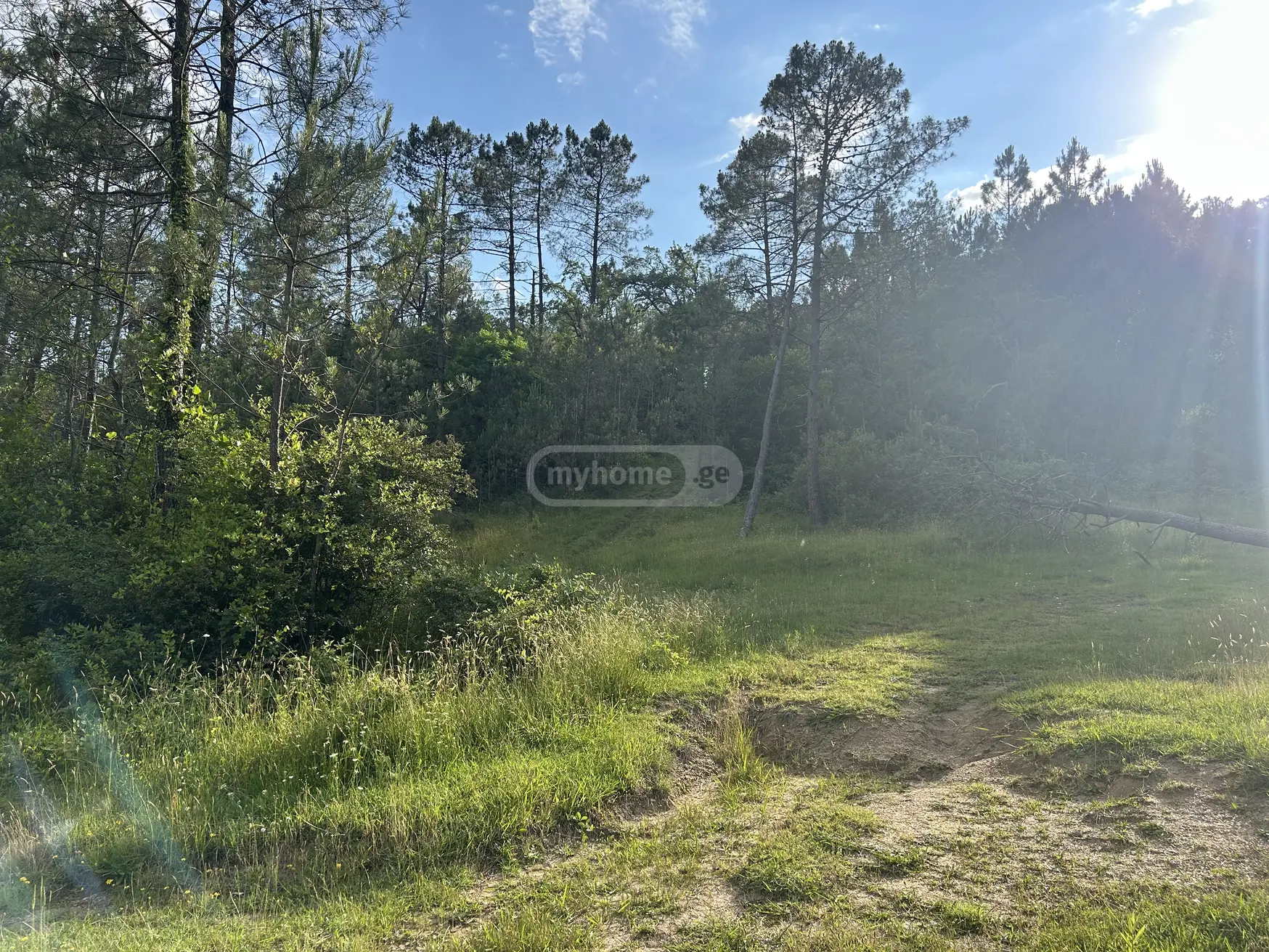 For Sale Ara Sasoplo-Sameurneo Land Plot Kutaisshi, 1 of 6