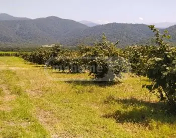 For Sale Sasoplo-Sameurneo Land Plot Isanshi, 2 of 12
