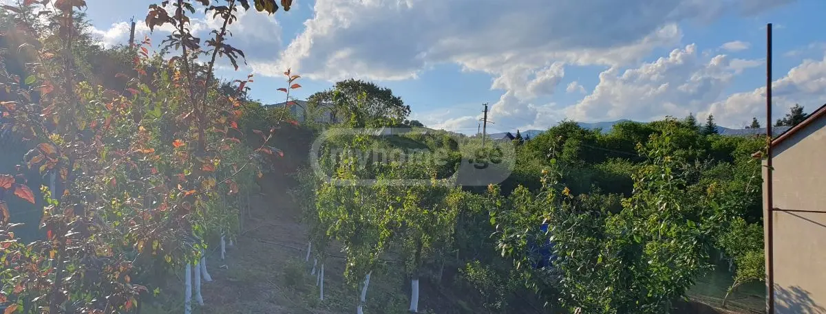 Продажа 7-комната Загородный дом в Sagarejos Munitsipalitetshi view 9