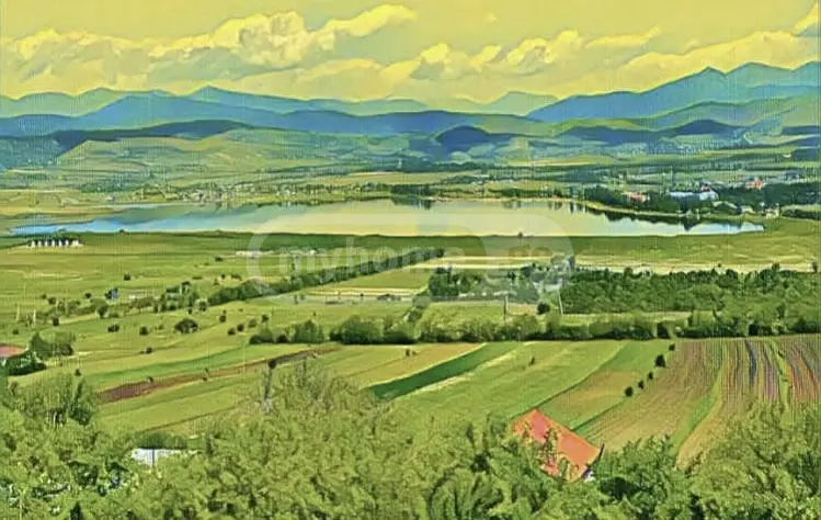 For Sale Sasoplo-Sameurneo Land Plot Dushetis Munitsipalitetshi view 3