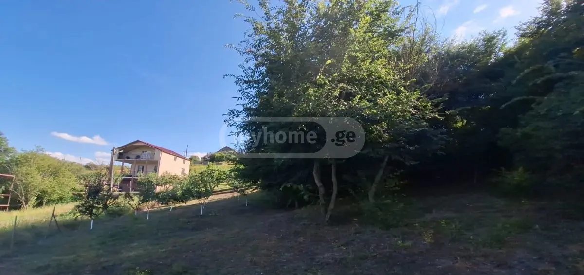 Продажа 7-комната Загородный дом в Sagarejos Munitsipalitetshi view 5