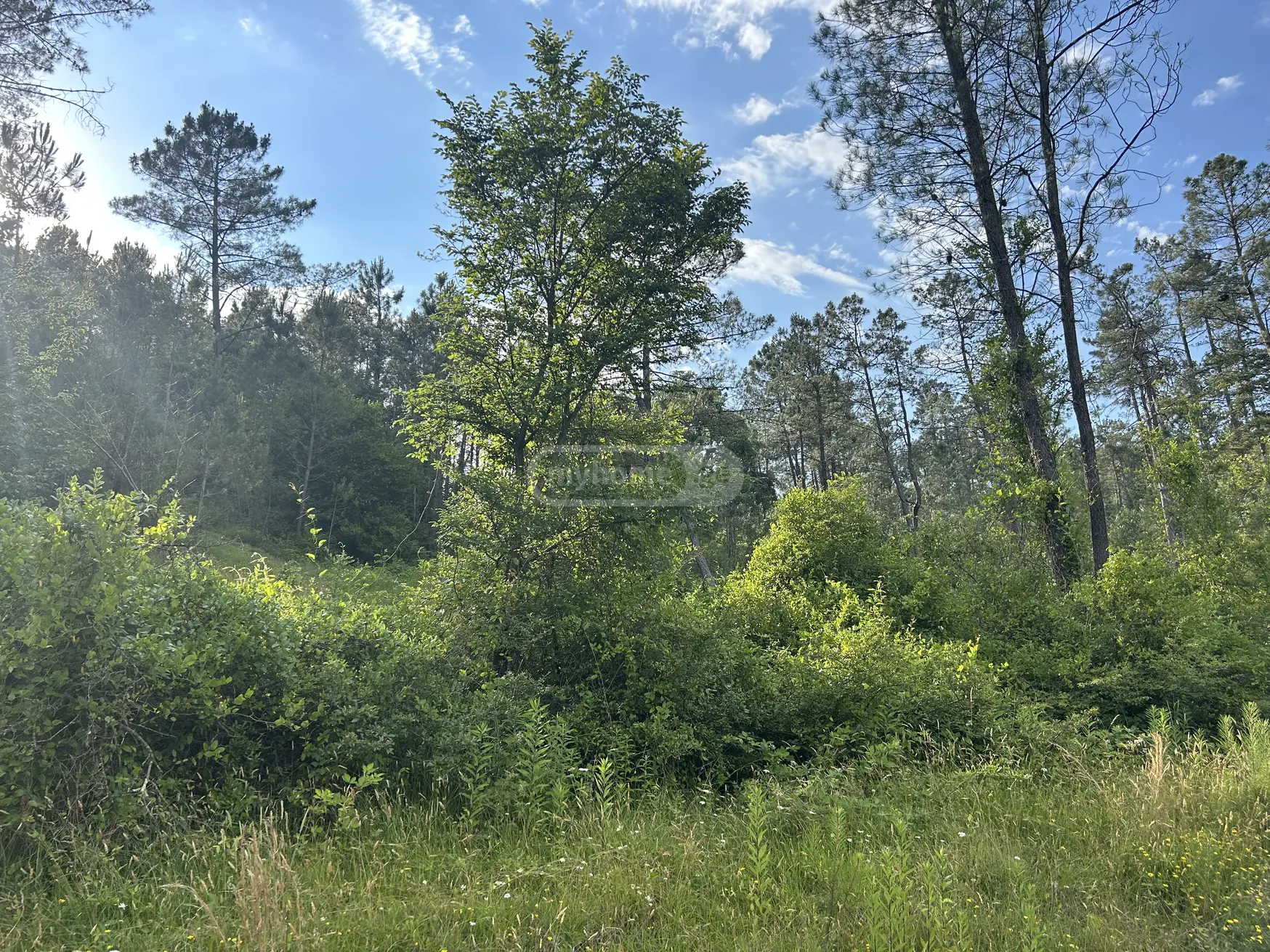 For Sale Ara Sasoplo-Sameurneo Land Plot Kutaisshi, 3 of 6