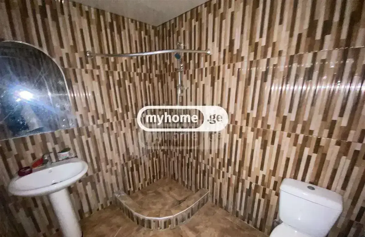 For Rent 10+ Room Sastumro Gldanulashi, 6 of 11