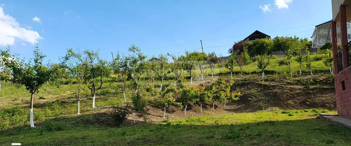 Продажа 7-комната Загородный дом в Sagarejoshi view 8