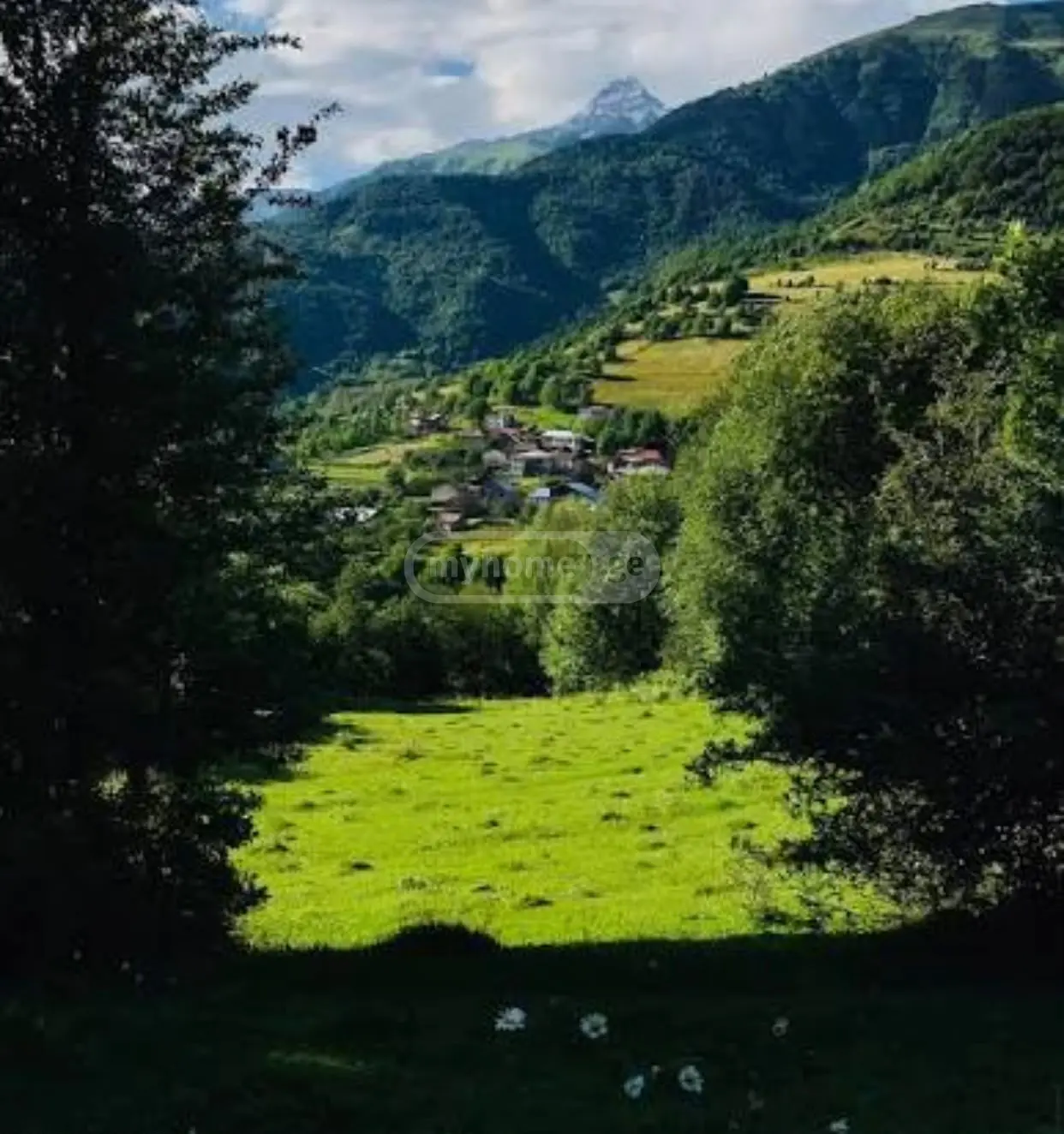 Продажа Земля / участок в Ozurgetis Munitsipalitetshi view 1
