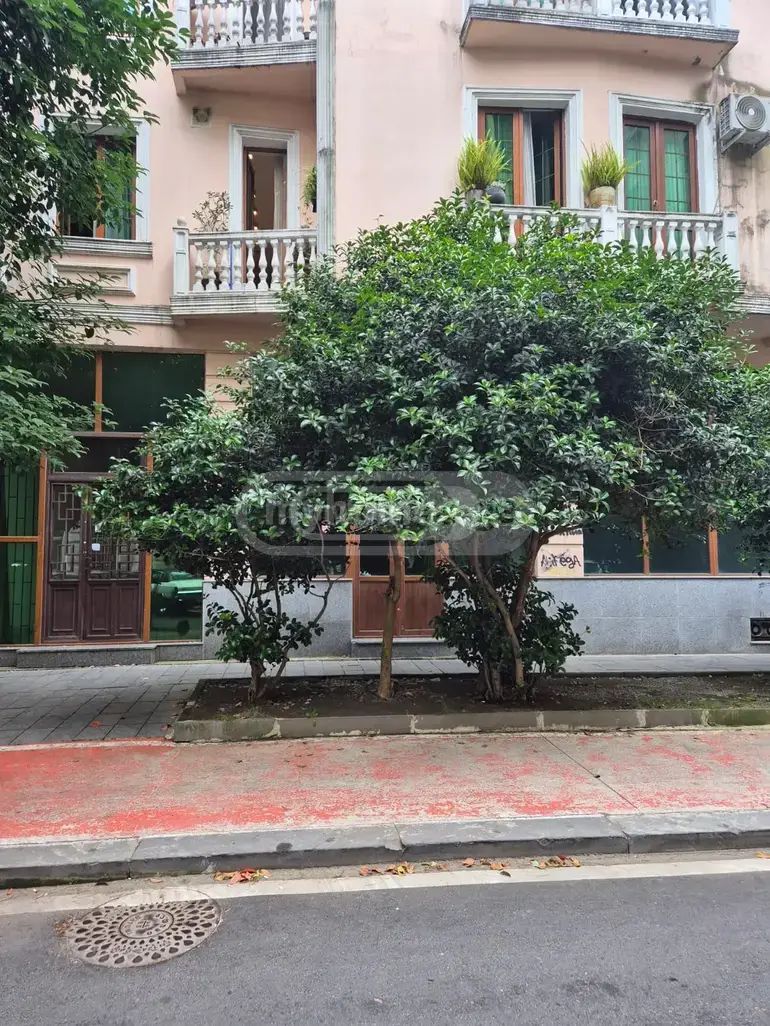 For Sale Universaluri Commercial Space In Batumi view 5
