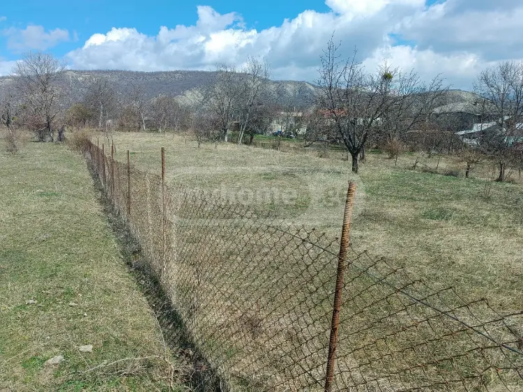 For Sale Sasoplo-Sameurneo Land Plot Sagarejos Munitsipalitetshi view 3