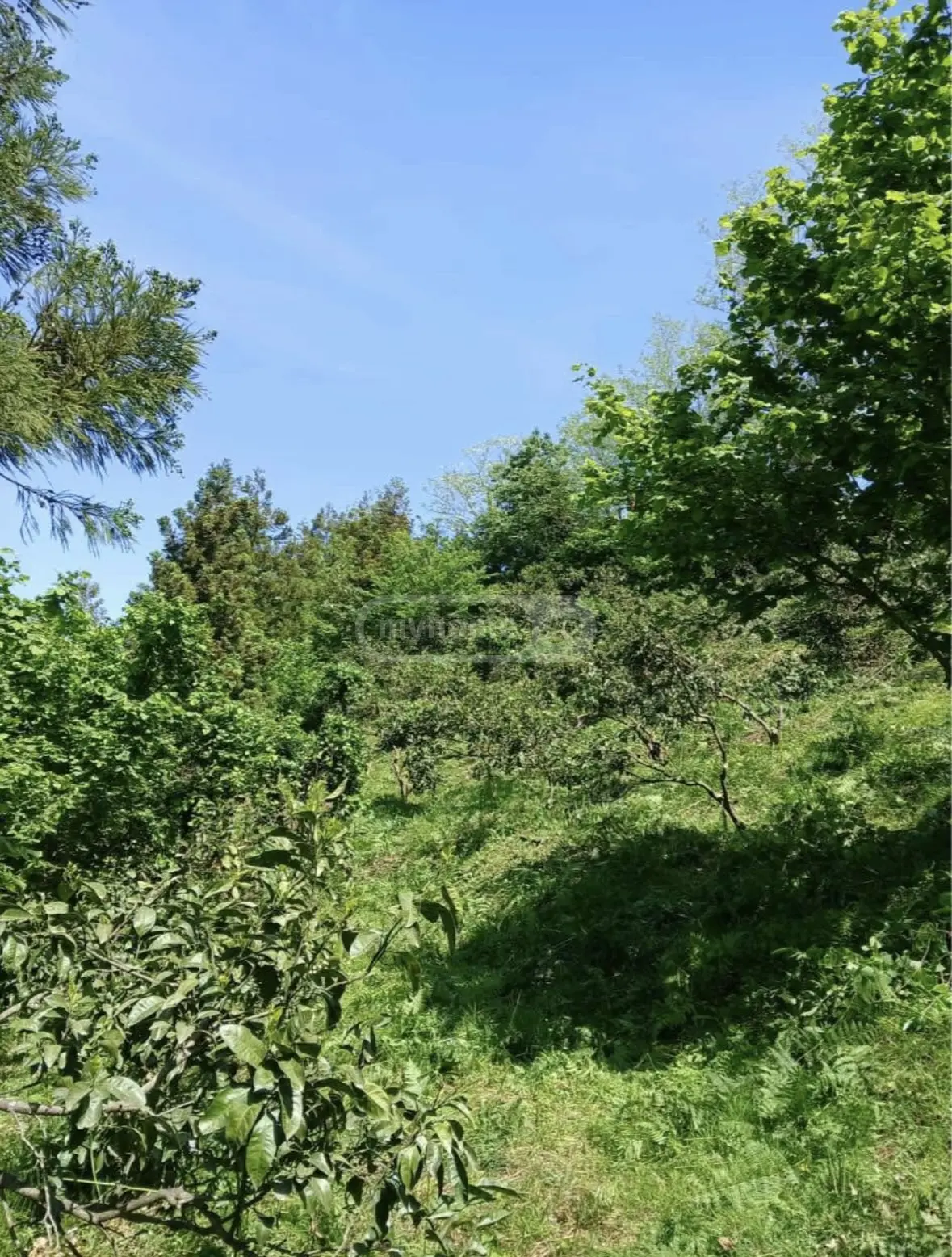 Продажа 2-комната Частный дом в Lanchkhutis Munitsipalitetshi view 4