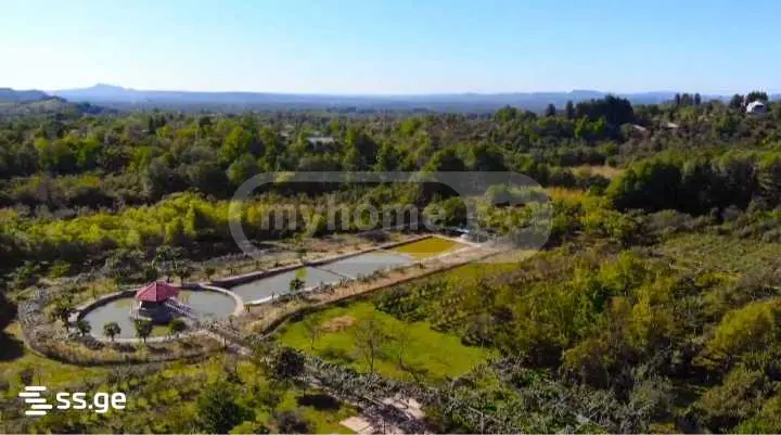 For Sale Sasoplo-Sameurneo Land Plot Ozurgetshii view 1