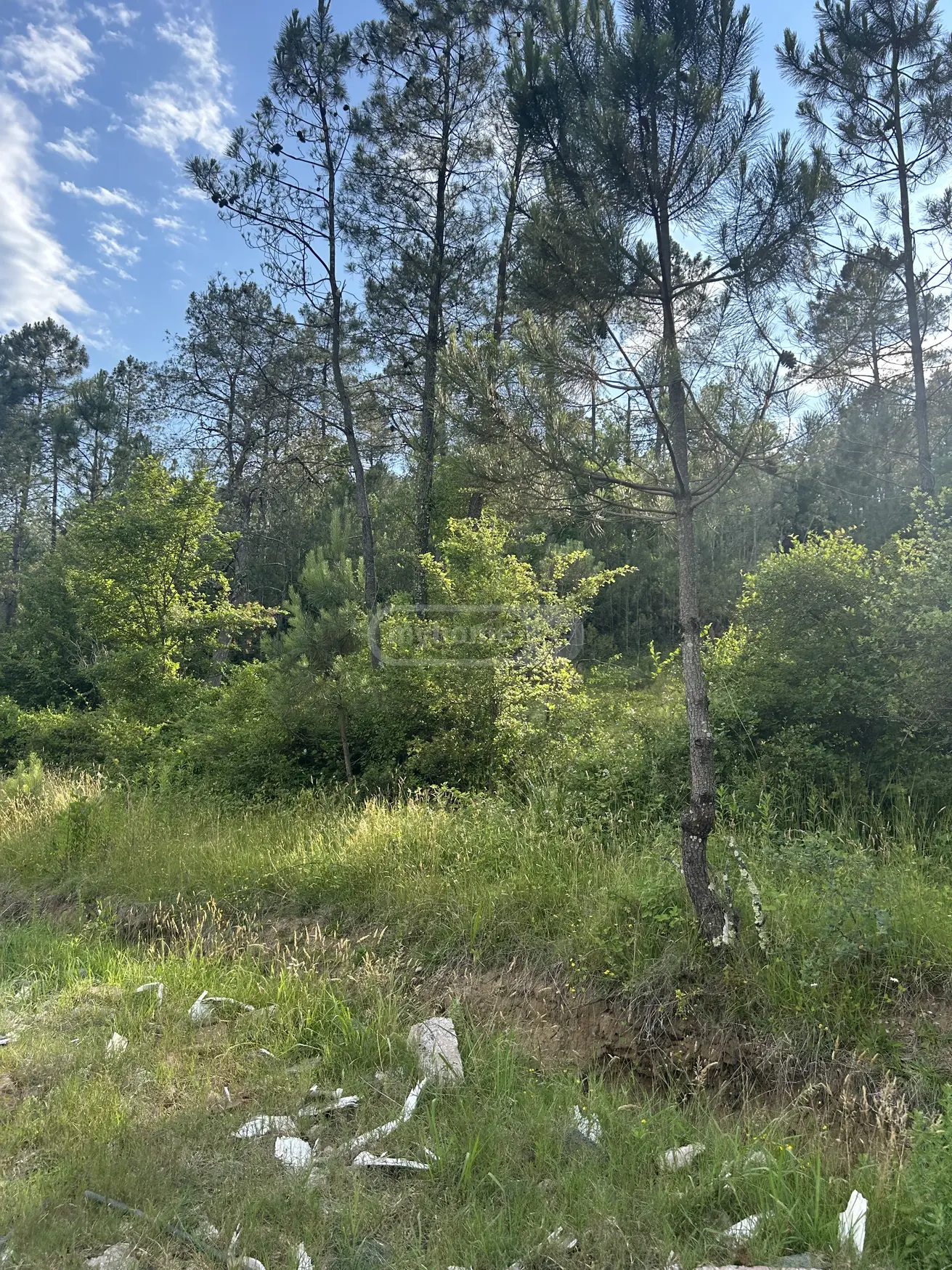 For Sale Ara Sasoplo-Sameurneo Land Plot Kutaisshi, 2 of 6