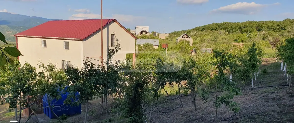 Продажа 7-комната Загородный дом в Sagarejoshi view 2