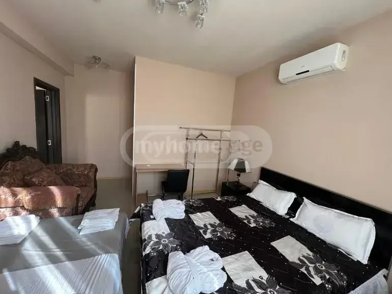 For Rent 10+ Room Sastumro Nadzaladevshi, 5 of 11