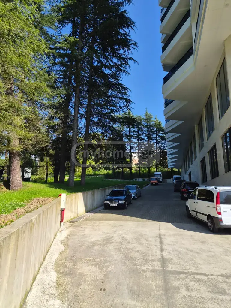 For Sale Sasoplo-Sameurneo Land Plot In Batumi view 4