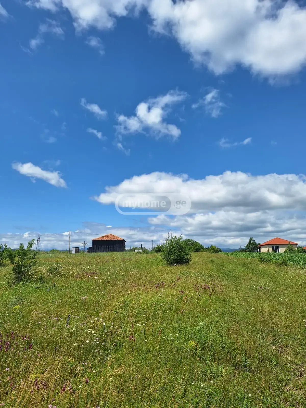 For Sale Sasoplo-Sameurneo Land Plot Dushetis Munitsipalitetshi view 7