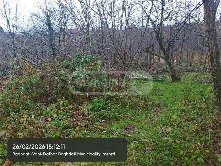 Продажа Земля / участок в Baghdatshi view 4