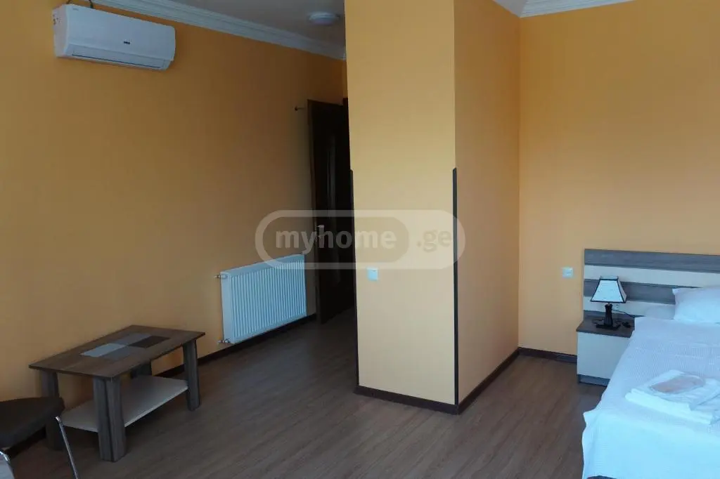 Daily Rent 10+ Room Private House In Batumi view 3