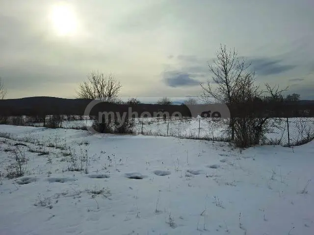 იყიდება მიწა / ნაკვეთი Tianetis Munitsipalitetshiში view 1