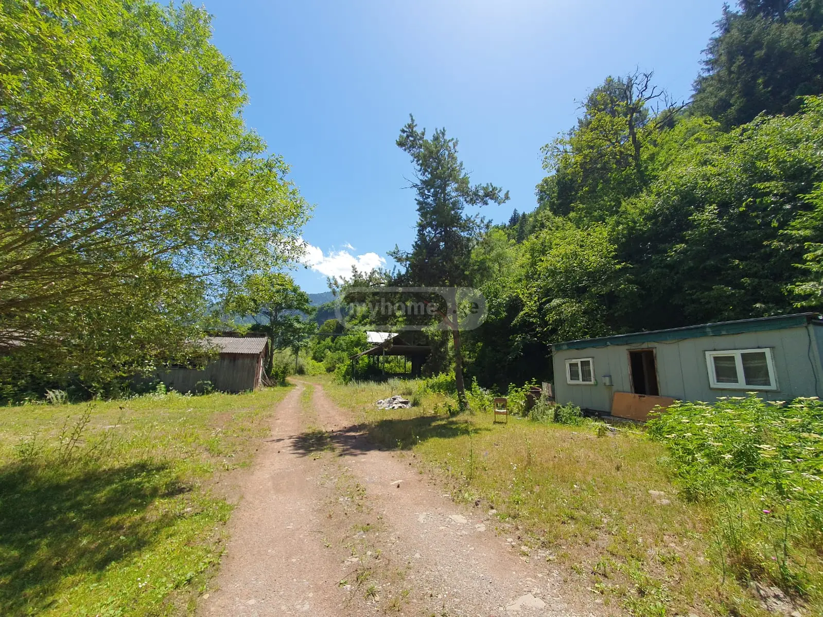 For Sale Ara Sasoplo-Sameurneo Land Plot Borjomshi view 3